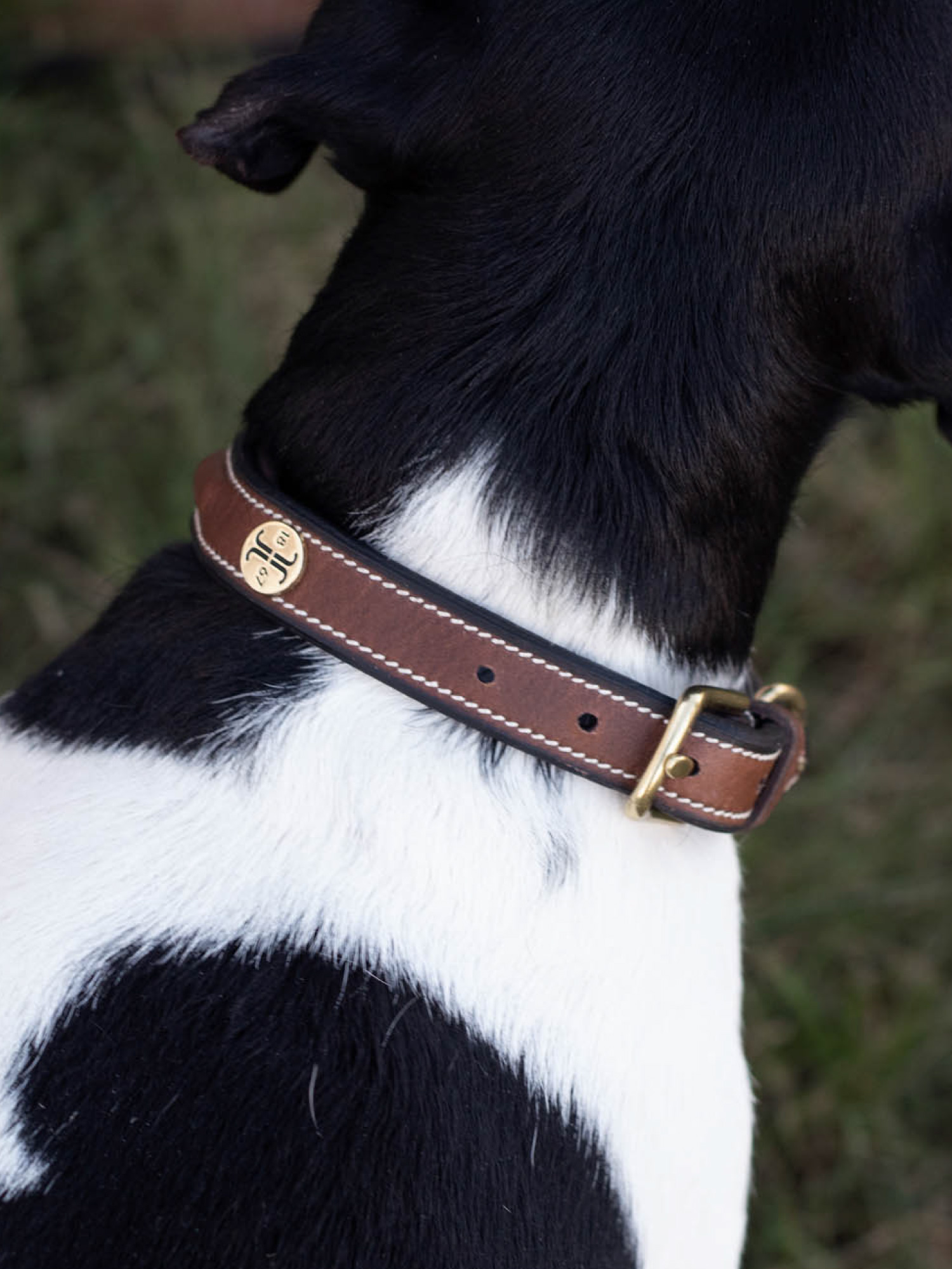 Arezzo Hundhalsband Brun 40cm