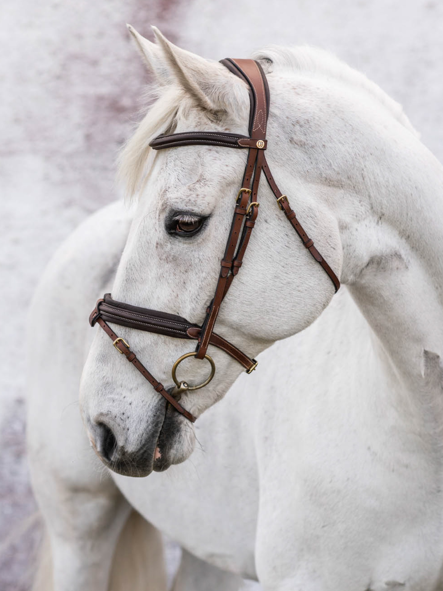 London Träns Brun Ponny