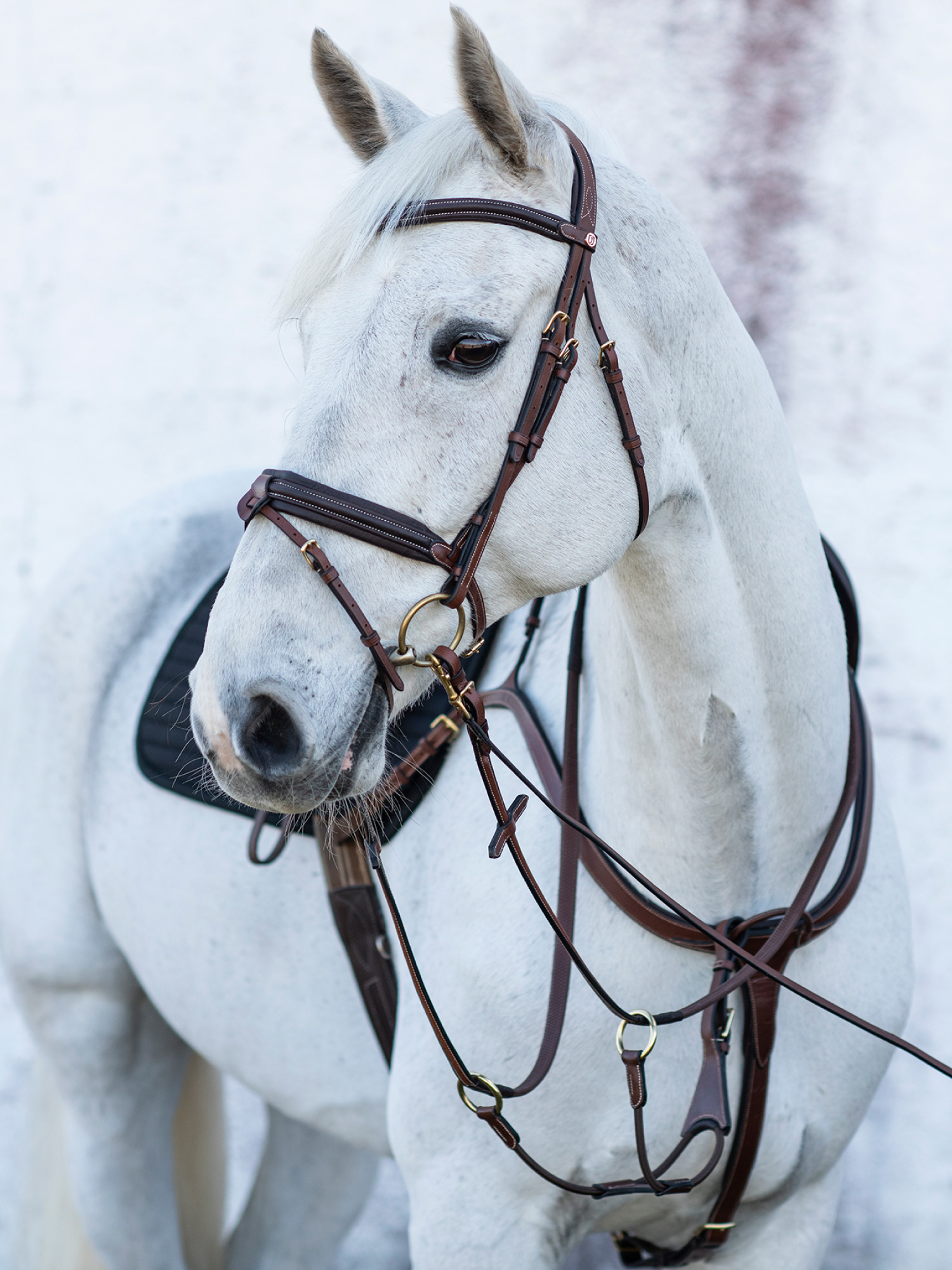 Olympia Förbygel Brun