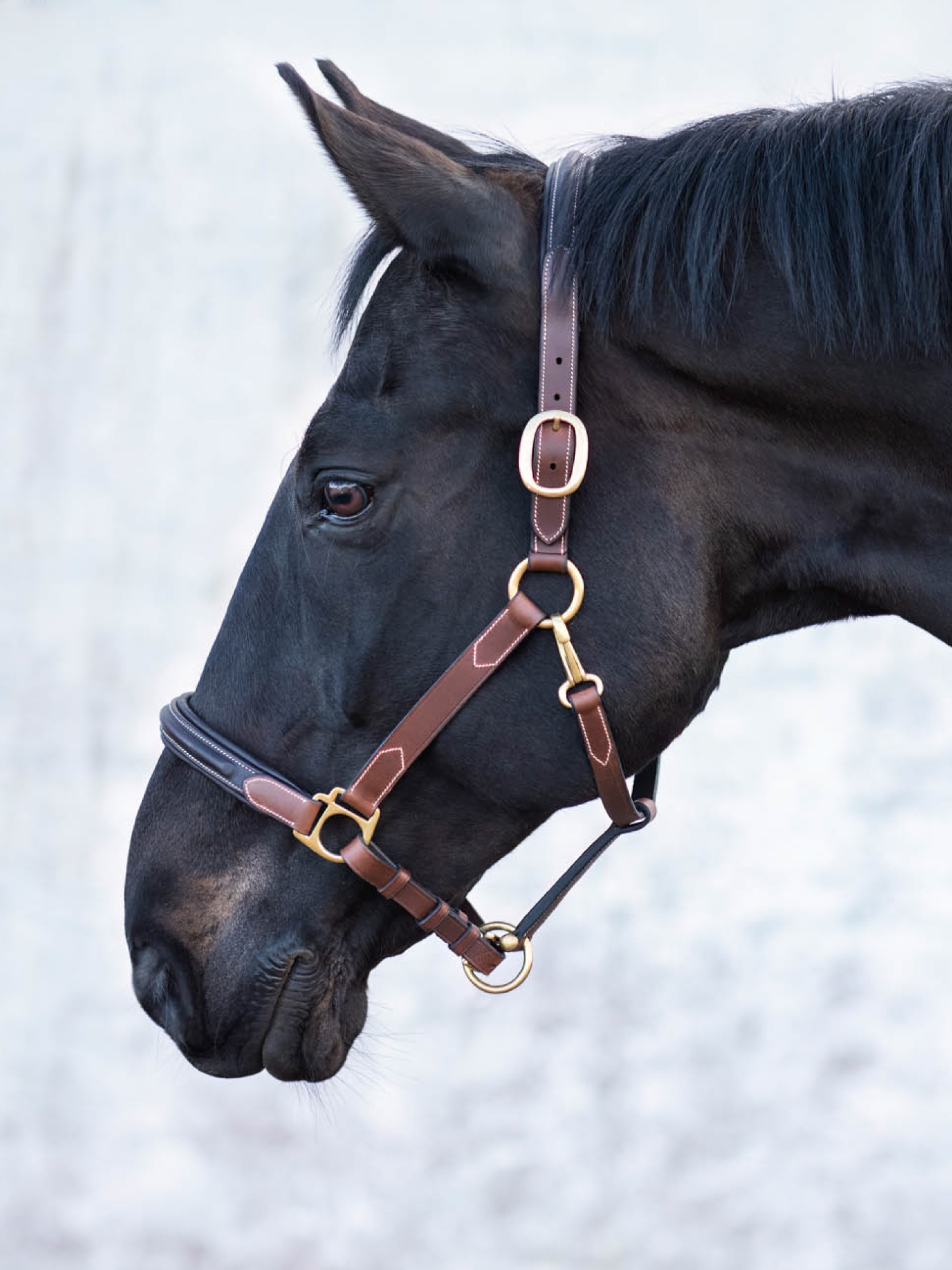 London Lädergrimma Brun Ponny