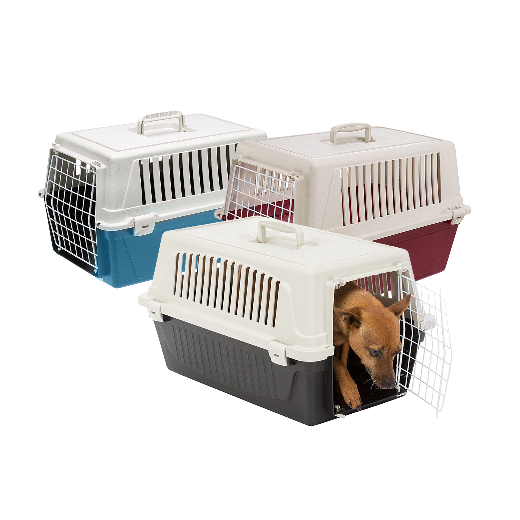 Transportbur Atlas S