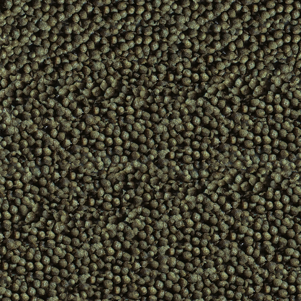 Goldy Color Spirulina Nature 100ml