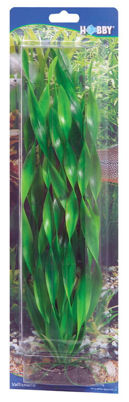 Dekorv&auml;xt Vallisneria 20cm