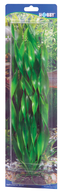 Dekorväxt Vallisneria 34cm