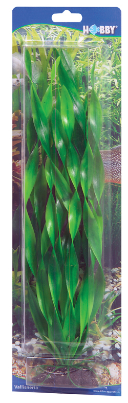 Dekorväxt Vallisneria 46cm
