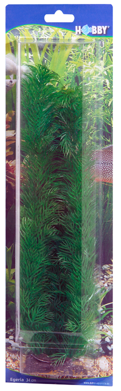 Dekorväxt Egeria 34cm