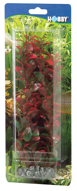 Dekorväxt Ludwiga 34cm