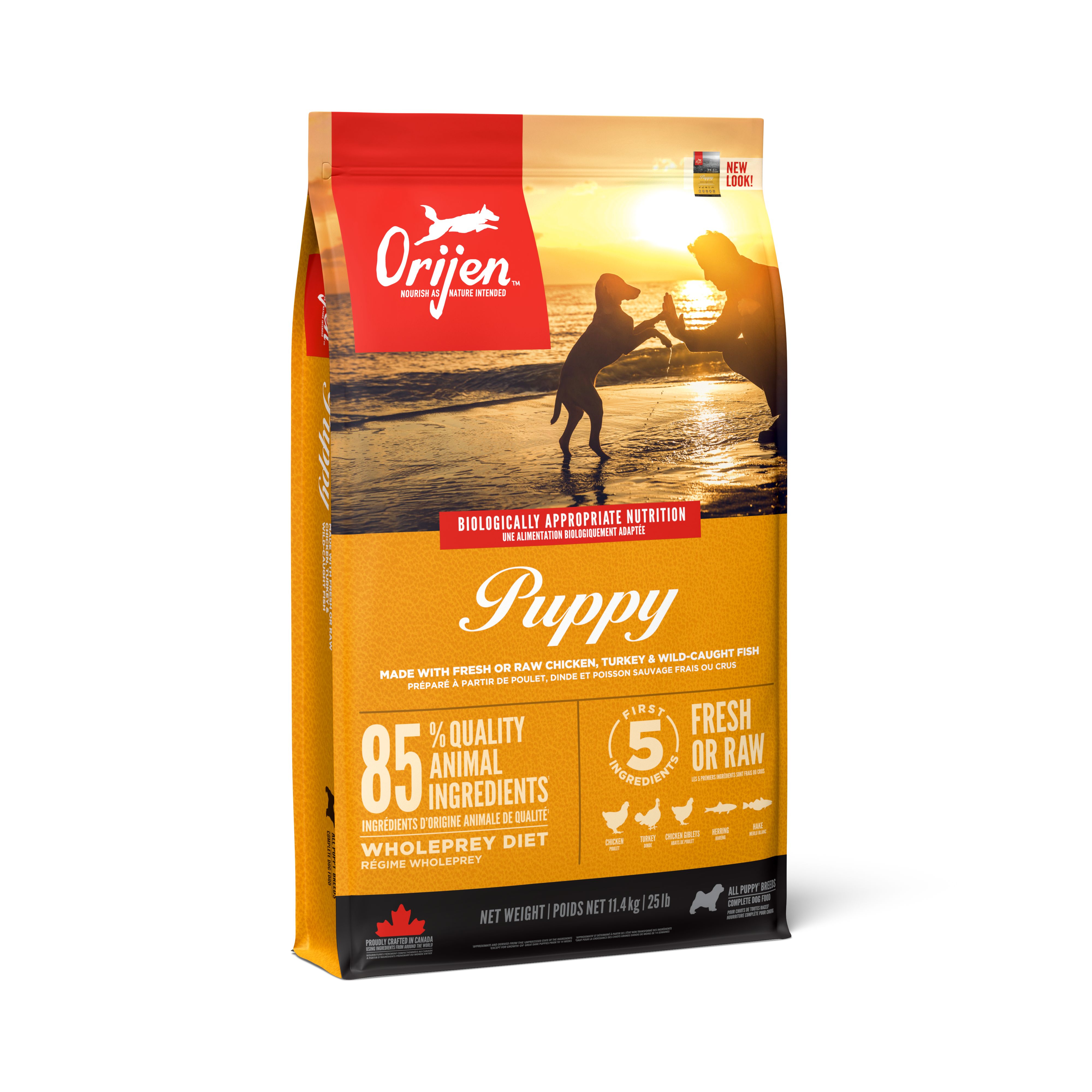 Puppy Dry Food for Dogs