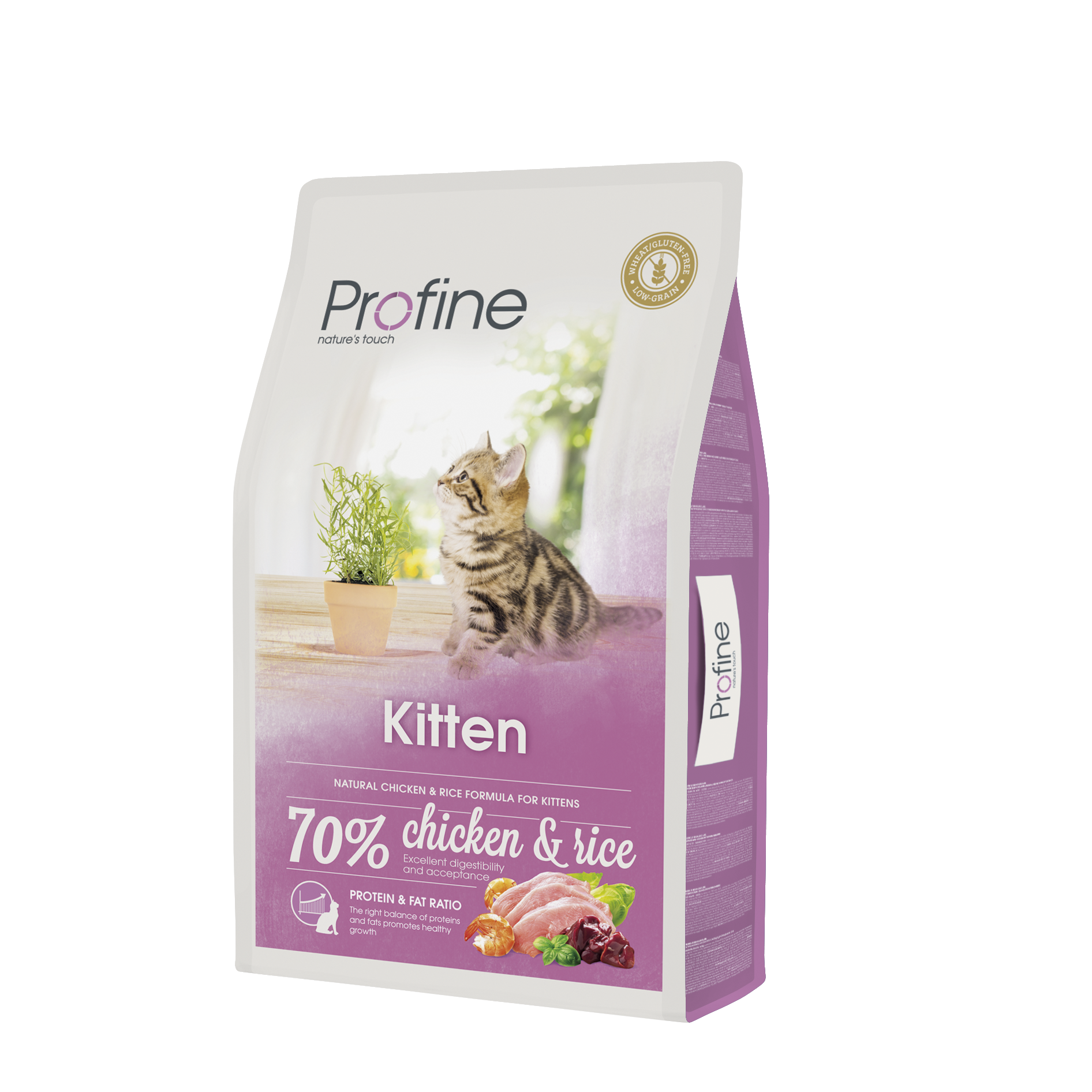 Kitten Torrfoder för katt 10kg