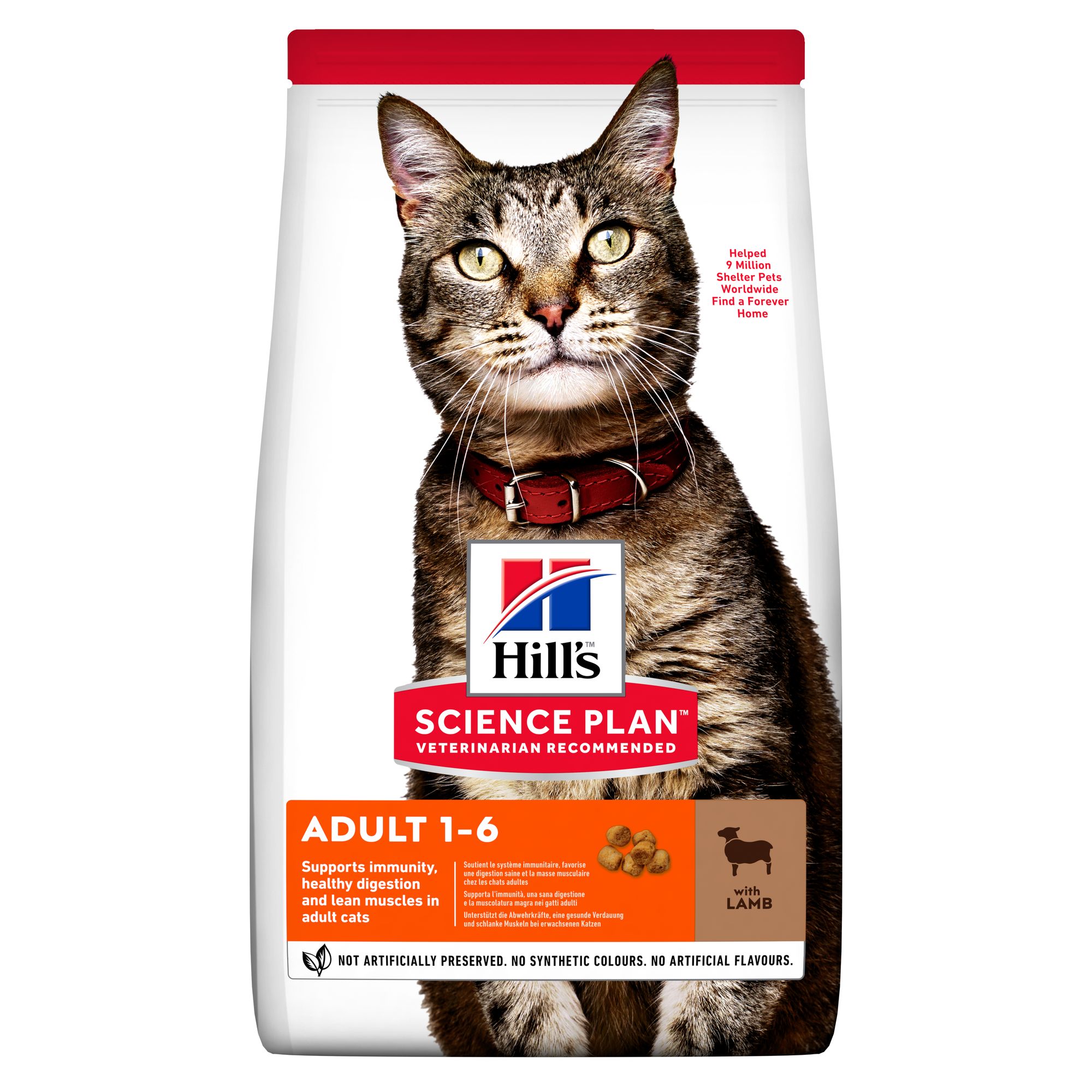Adult Lamb &amp; Rice Torrfoder f&ouml;r katt 7kg