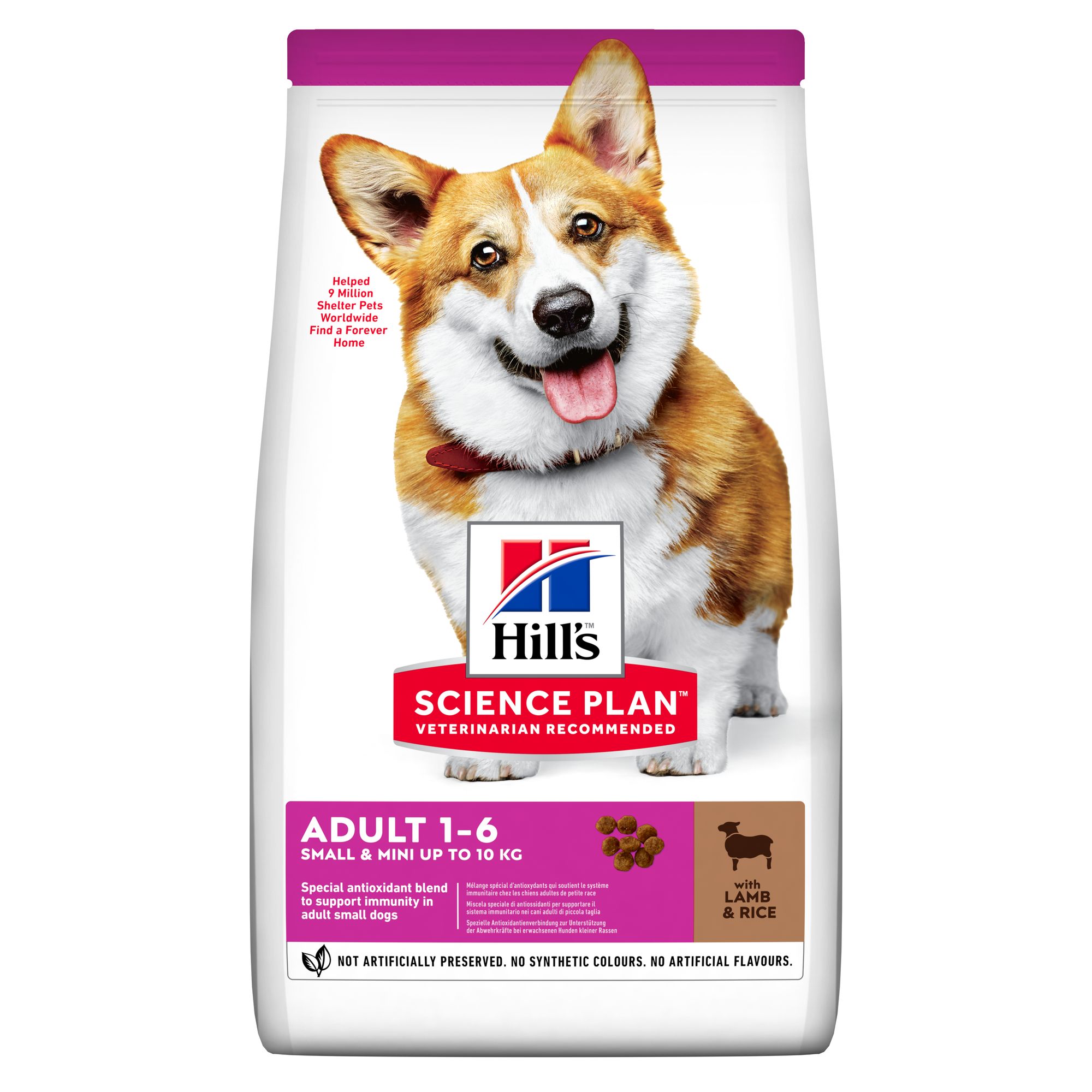 Adult Small & Mini Lamb & Rice Hundfoder 6kg