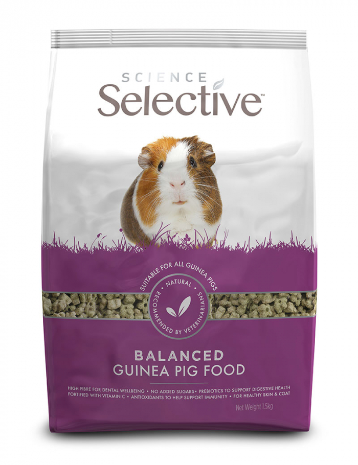 Guinea Pig 3kg