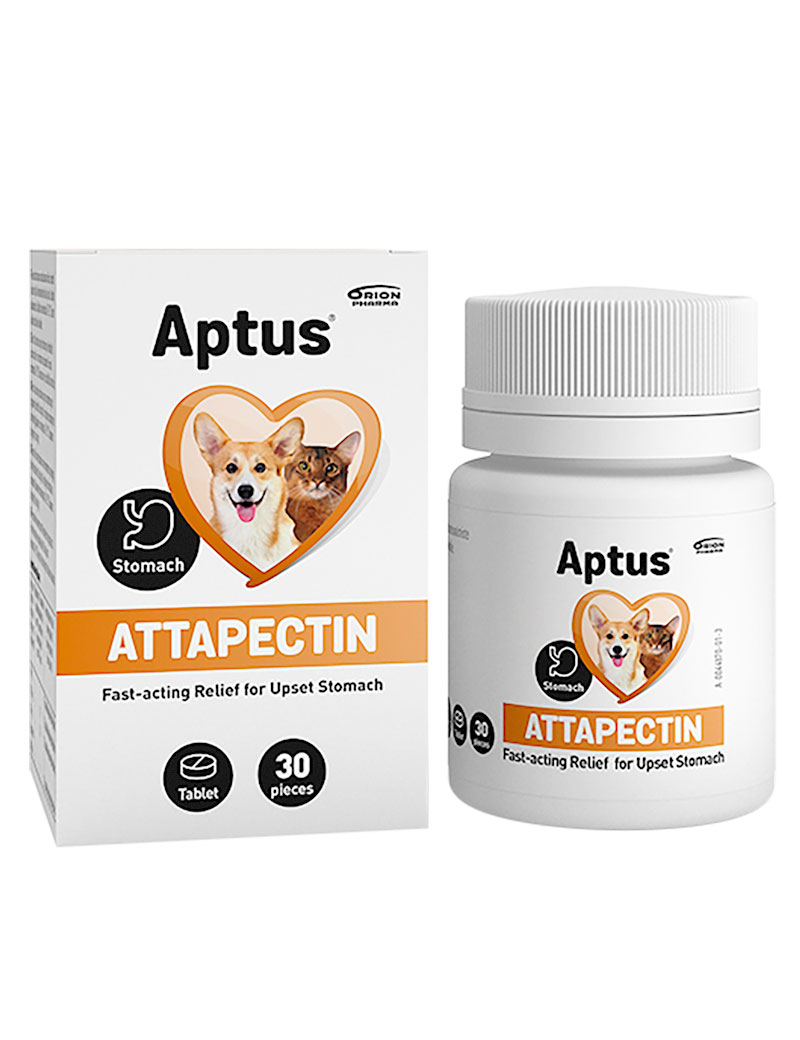 Attapecitin Tillskott f&ouml;r hund och katt 30st