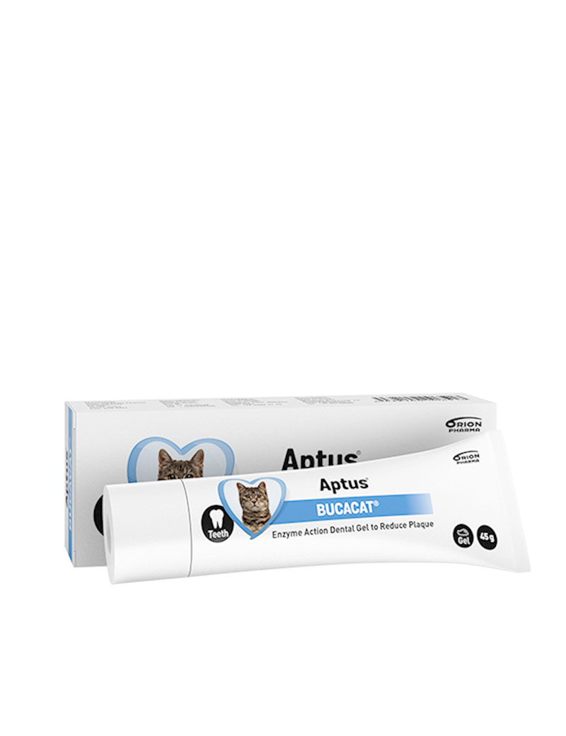 BucaCat Tandkr&auml;m f&ouml;r katt 45g